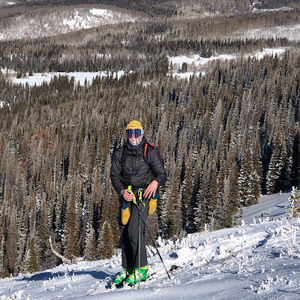 Meet your Posher, Ben